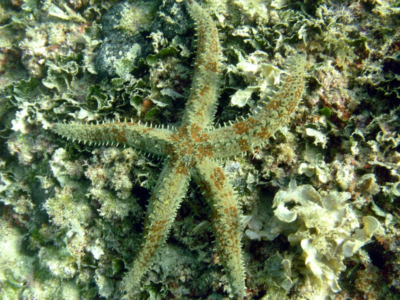2012-09-17 11-42-30 Steven.jpg